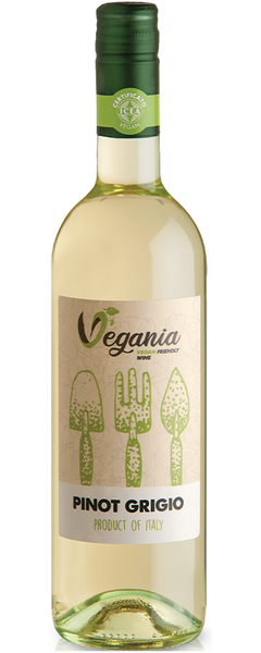 Вино Vegania Pinot Grigio Siciliane IGT біле сухе 12% 0,75л 100924 фото