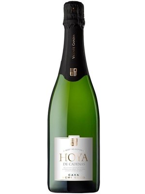 Вино ігристе Hoya de Cadenas Cava Semi Seco біле напівсухе 0,75л Іспанія 101053 фото